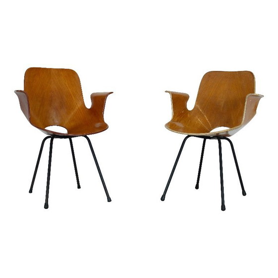 Image 1 of sedia con braccioli in legno curvato di faggio "medea" di vittorio nobili per fratelli tagliabue, italia, 1956