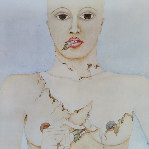 Katinka Niederstrasser / Galerie Levy / Poster