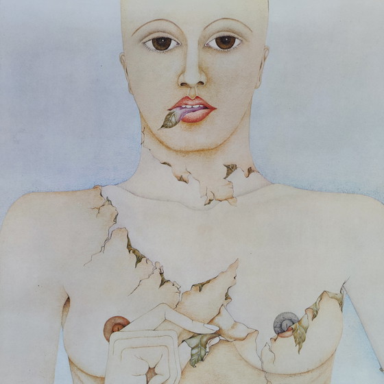 Image 1 of Katinka Niederstrasser / Galerie Levy / Affiche