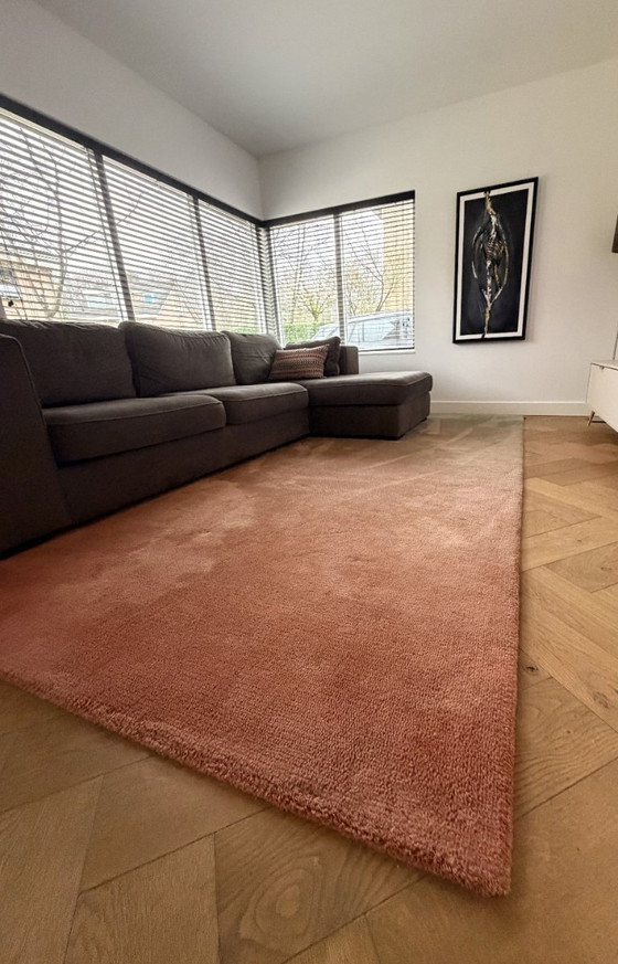 Image 1 of Tapis CS Rugs motif Caméléon 270 x 370 cm – 100 % laine de Nouvelle-Zélande – dégradé de couleurs 330170 – comme neuf