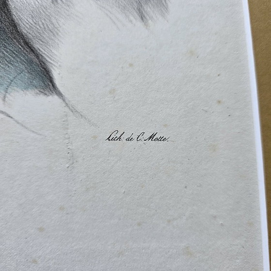 Image 1 of Litografía antigua de Gustavo III, obra de H. Grevedon, de 1828.