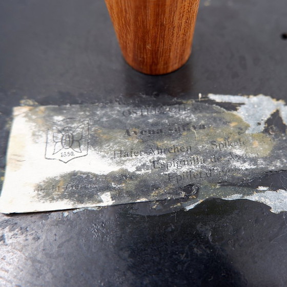 Image 1 of Botanisches Modell einer Weizenblüte aus Osterloh, Deutschland, 1940er/50er Jahre