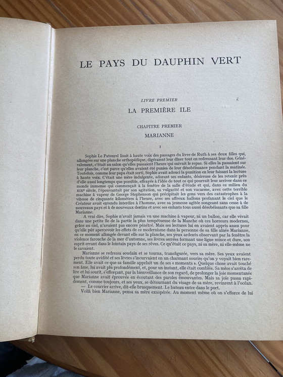 Image 1 of La terra del delfino verde