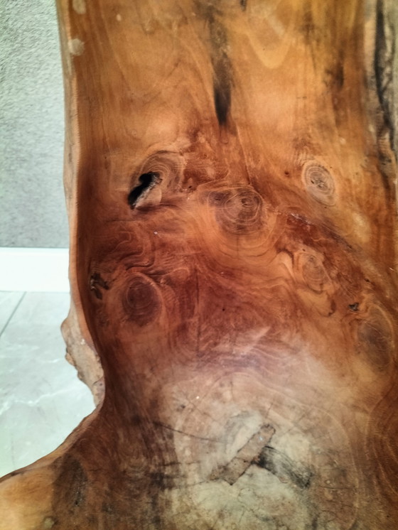 Image 1 of Solid tree trunk