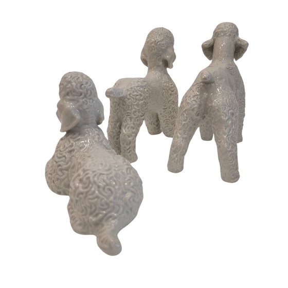 Image 1 of Conjunto De Figuras “Caniches” En Porcelana, Fritz Heidenreich Para Rosenthal, 40’S - Alemania