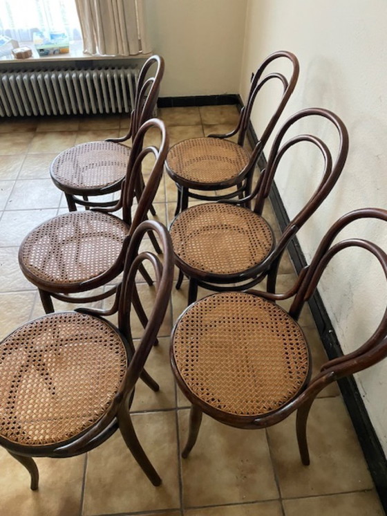 Image 1 of Sedie d'epoca in legno curvato e canna di Michael Thonet, 1904 n°14