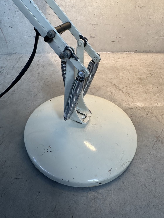 Image 1 of Vintage desk lamp - Anglepoise