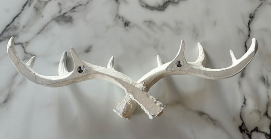 Image 1 of Cornes décoratives en résine