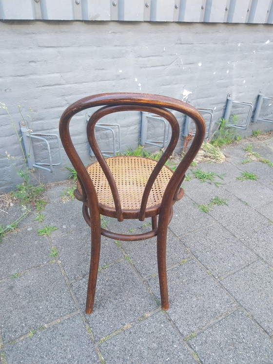 Image 1 of 1 juego de 4 Thonet Modelo 14 de la década de 1920 en perfecto estado.