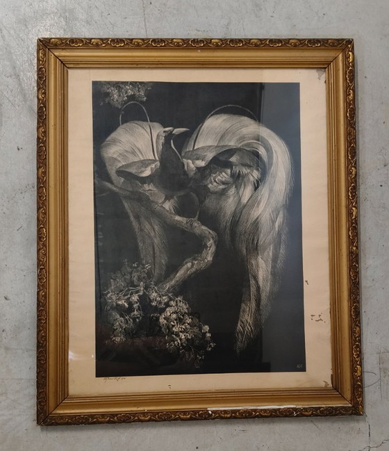 Image 1 of Adriaan Johannes van 't Hoff - Oiseau de paradis sur une branche - Lithographie