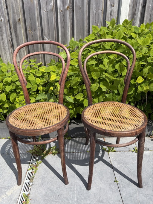2 vintage Thonet chairs with webbing seats