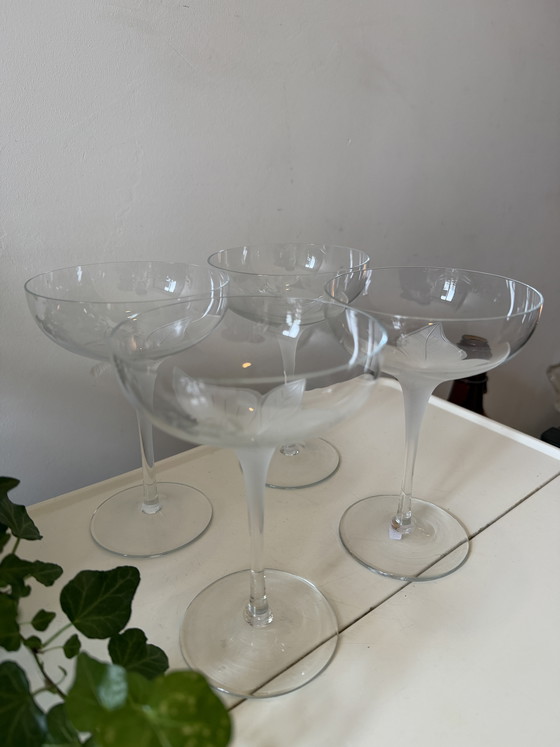 Image 1 of Set of 4 coupe champagne glasses