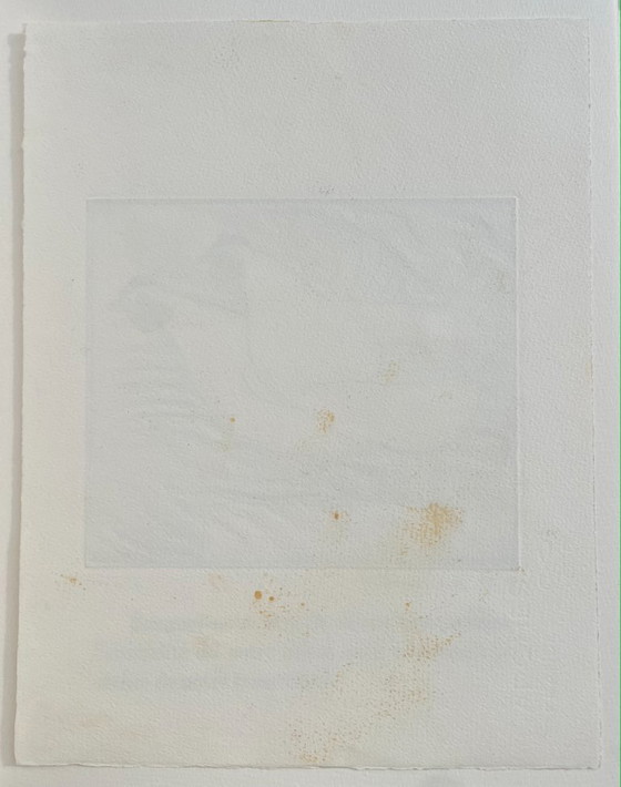 Image 1 of Francois-Xavier Lalanne (1927-2008) La gallina, ensayo único en acuarela