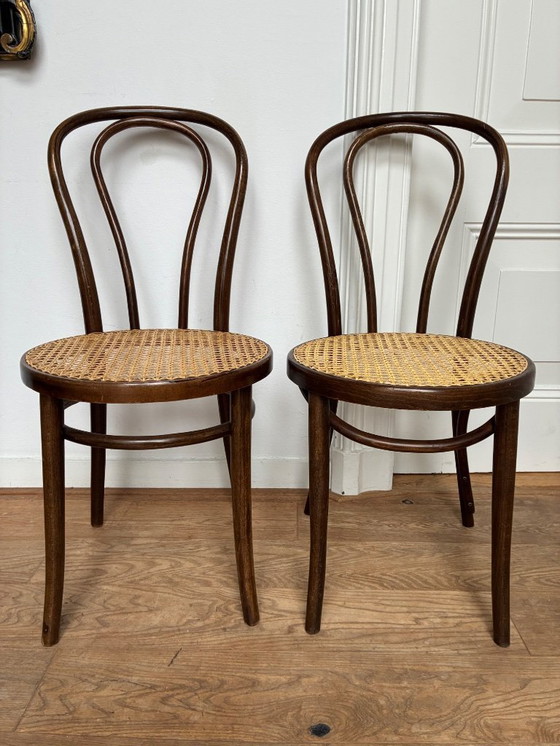 Image 1 of Set di 5 sedie Thonet n. 18 di ZPM Radomsko