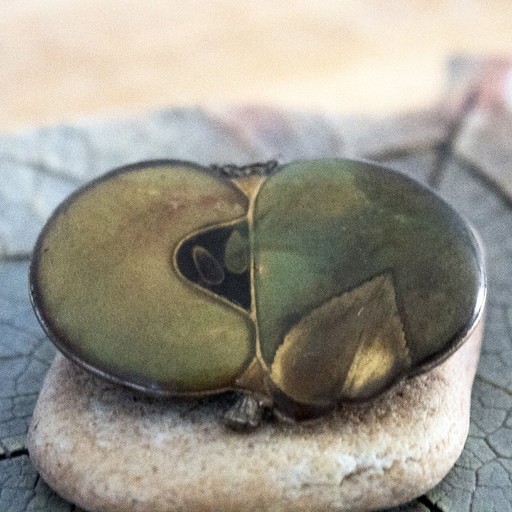 Spilla vintage a forma di mela smaltata di verde, con torsolo e semi.