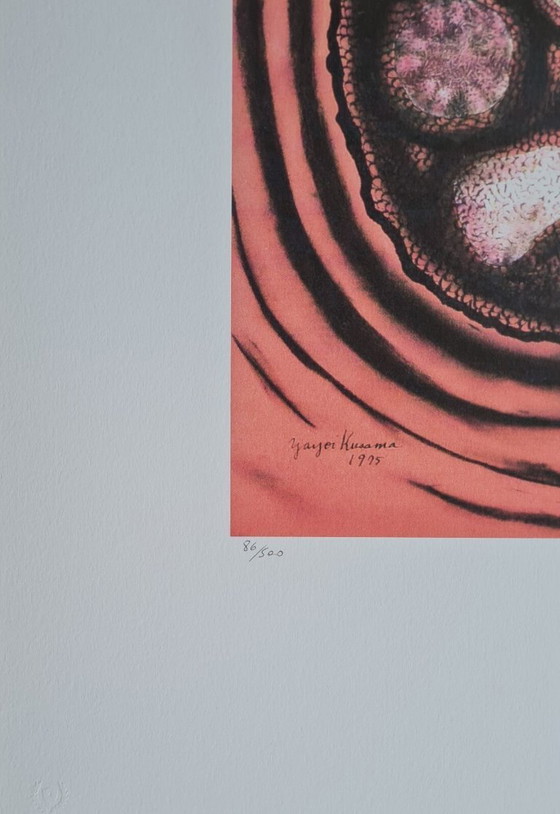 Image 1 of D'après Yayoi Kusama, Sans titre, Lithographie, années 1990