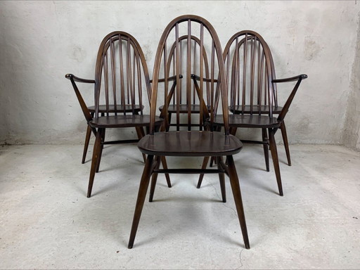 6x Ercol Quaker chairs