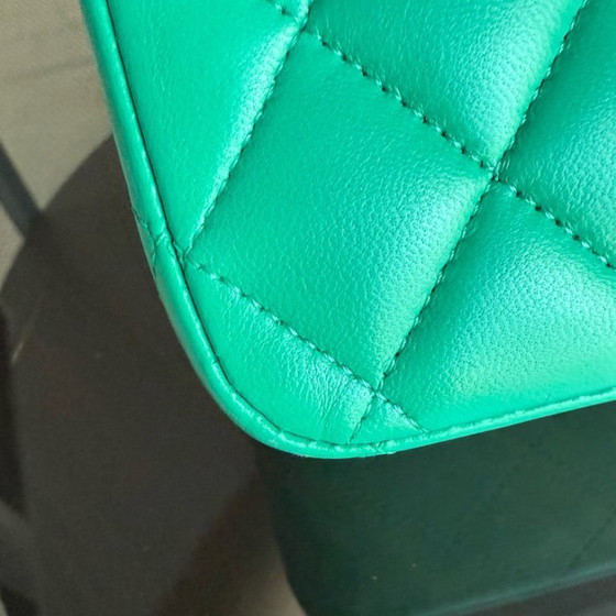 Image 1 of Chanel Classic Flap Medium - 25CM Quilted Lambskin Light Green Silver Hardware Series 16