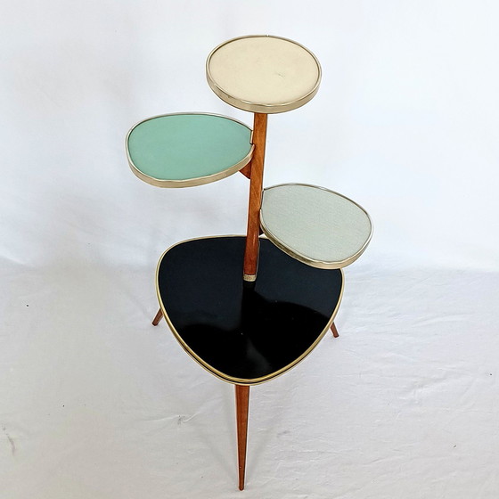 Image 1 of Fifties Plant Table