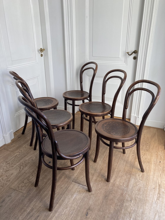 Image 1 of 6x Thonet Design No. 14 Chairs