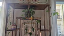 Vitrine