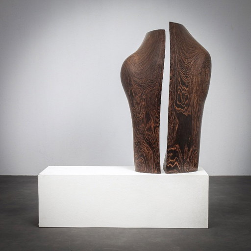 Esculturas de madera orgánica respirando de Ineke van Zuuren, años 70