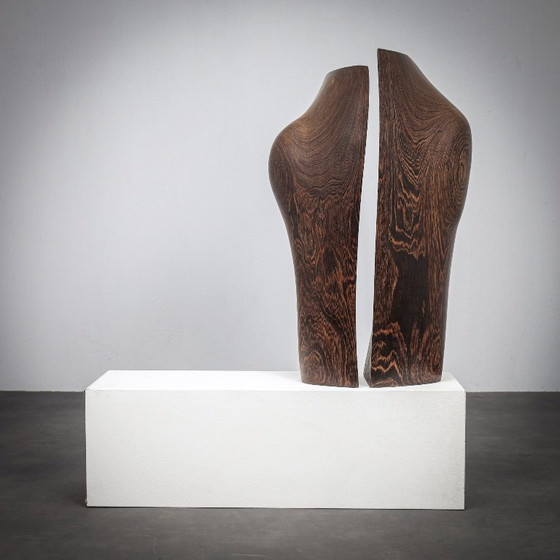 Image 1 of Esculturas de madera orgánica respirando de Ineke van Zuuren, años 70