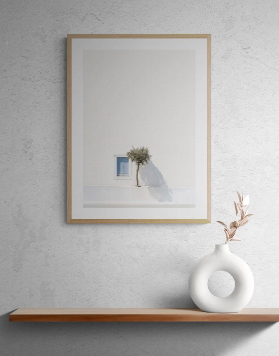 Image 1 of Olivo greco - edizione limitata a 25 esemplari