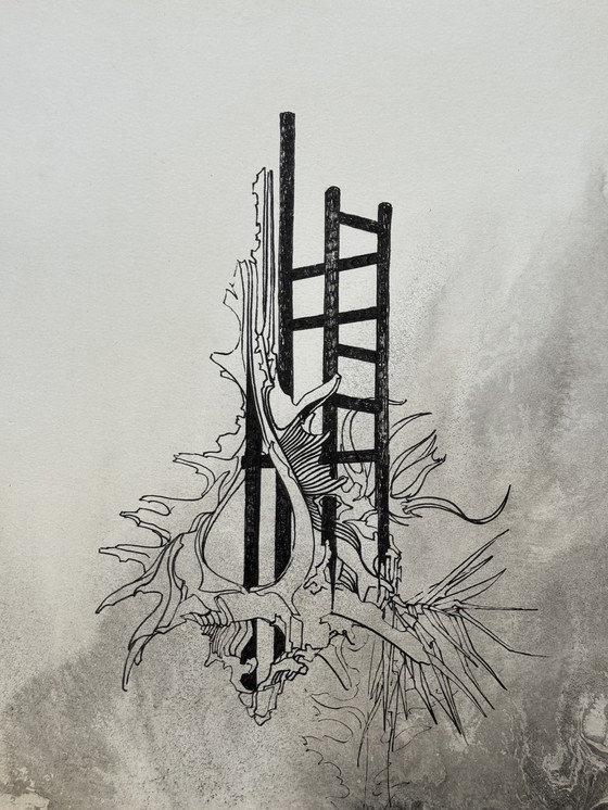 Image 1 of Eugene Eechaut (1928-2019) - Wreck and Relic (Diptych) 1973