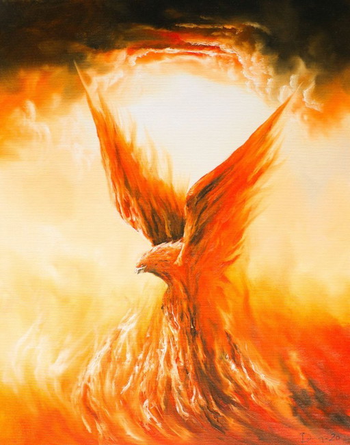 Adam Burczyc - Phoenix