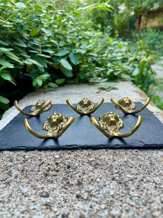 5 lion coat hooks in solid brass Art Nouveau – Coat racks, Art Deco (photo 4 of 6)