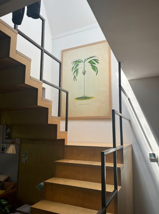 XXL Botanische Kunstprint 120 x166 cm | Nieuwprijs €475 – giclee prints, Paper
