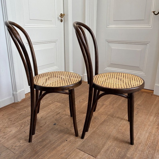 Image 1 of 2x Thonet no. 18