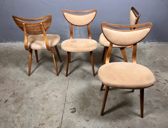 Image 1 of Vintage chairs 4 Mid - Century