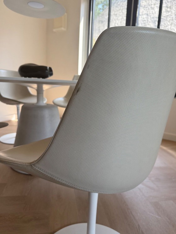 Set di 6 sedie Flow Italia in MDF – in pelle – MDF Italia, Sedie da pranzo, Leather (photo 5 of 8)