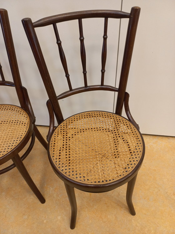 Image 1 of Satz von 3 Café-Stühlen im Thonet-Stil