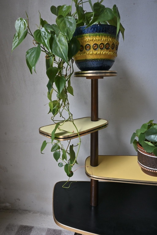 Belle étagère/ table à plantes Mid Century