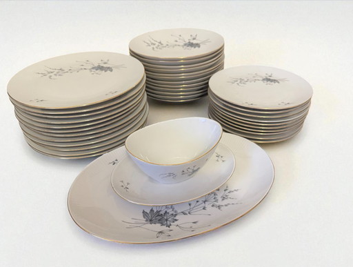 Juego de vajilla Seltmann Bavaria Monika