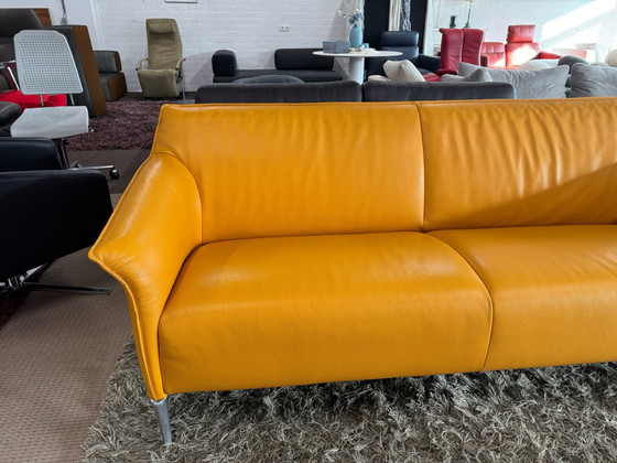 Leolux Mayon 3-Sitzer Sofa – 3-5 Sitzer Sofas, Leder (photo 3 of 10)