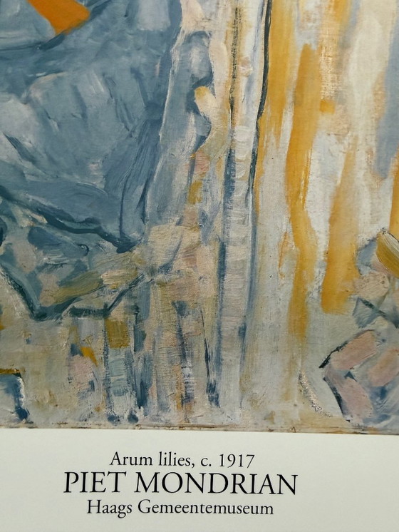 Image 1 of Piet Mondrian  (1872-1944), Aronskelken, ca. 1917, copyright 1996 ABC/Mondrian Estate...Printed in Holland #831