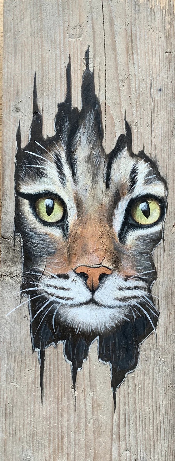 Image 1 of Unique Hand-Painted Cat, Donkey, or Woodpecker on Scaffold Wood (50x20 cm)