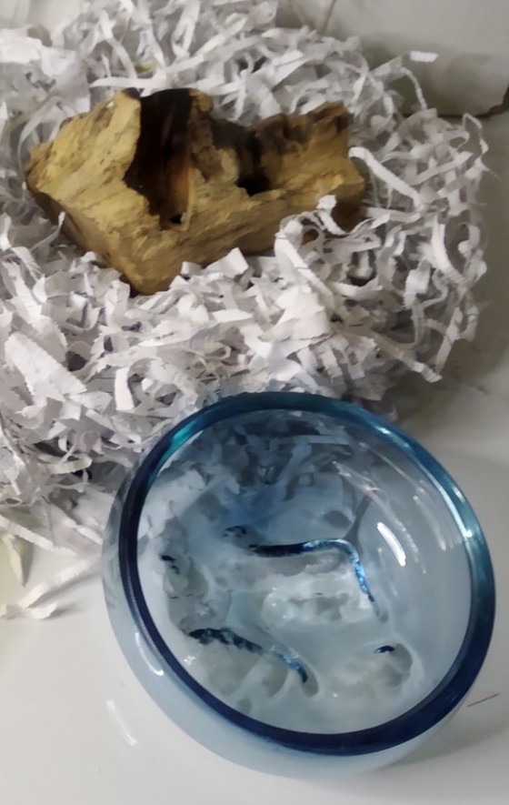 Image 1 of 2 glazen containers vastgesmolten op Gamal-hout