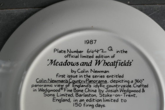 Image 1 of Assiettes décoratives Wedgwood 3 x par Colin Newman 1987