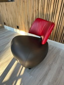 Leolux Pallone