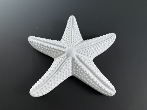 Stella marina decorativa in ceramica bianca smaltata