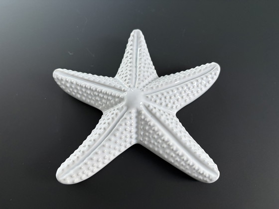 Image 1 of Stella marina decorativa in ceramica bianca smaltata