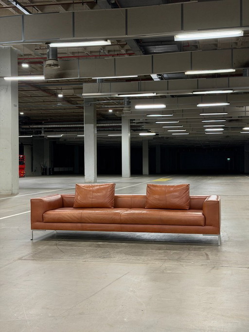 Design on Stock Aikon Lounge | Pelle color cognac