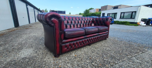 Original Springvale Chesterfield canapé 3 places en rouge sang de boeuf