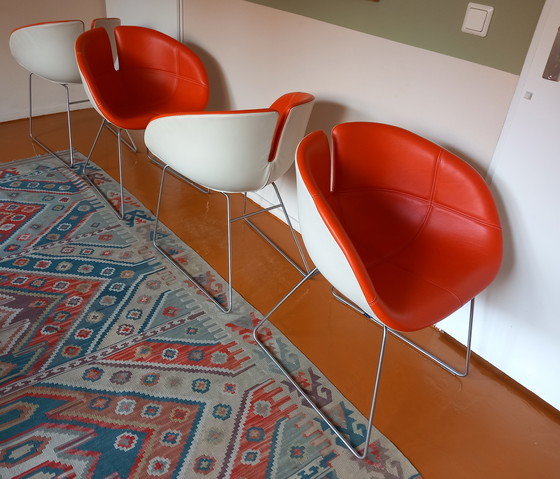 Image 1 of 4x Moroso Fjord Patricia Urquiola