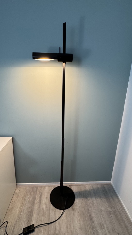 Gianfranco Frattini "Caltha" Floor light (model CB2) by Luci Italia – vloerlampen, Metal (photo 2 of 15)